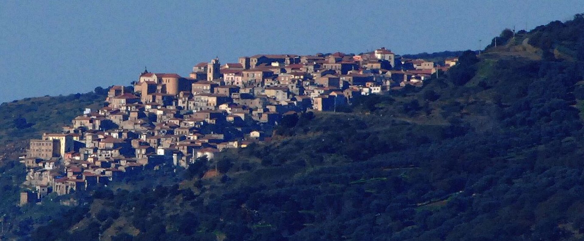 Nicotera